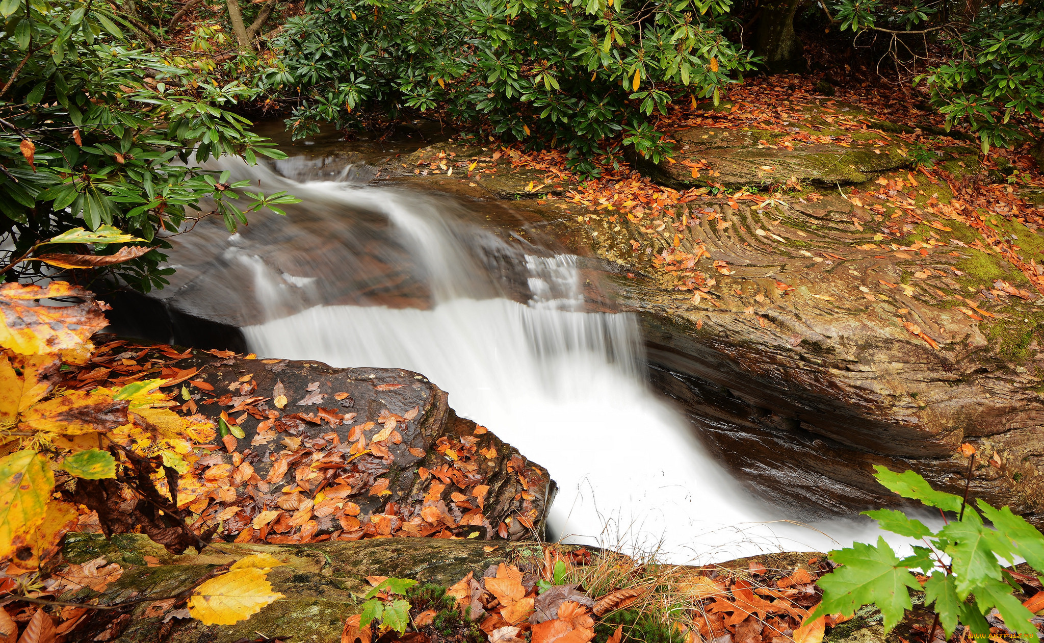 , , , stream, waterfall, , , , , autumn, leaves, water
